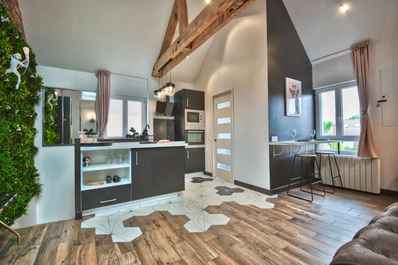 * Le Loft Des Mysteres * Appartement Maintenon Buitenkant foto
