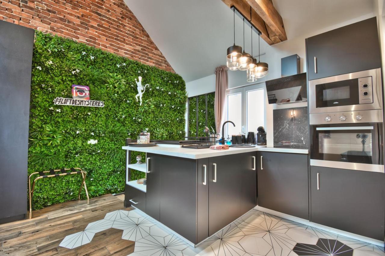 * Le Loft Des Mysteres * Appartement Maintenon Buitenkant foto